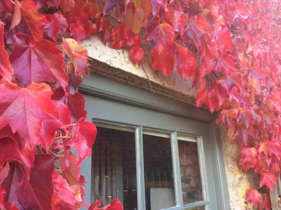 Blacksmith'S Barn - Cosy, Chilled & Dog Friendly. Wykeham  Exterior photo